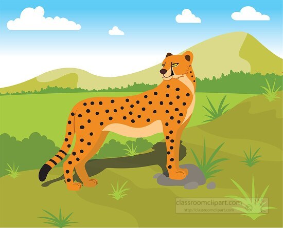 cheetah standing in open land in africa