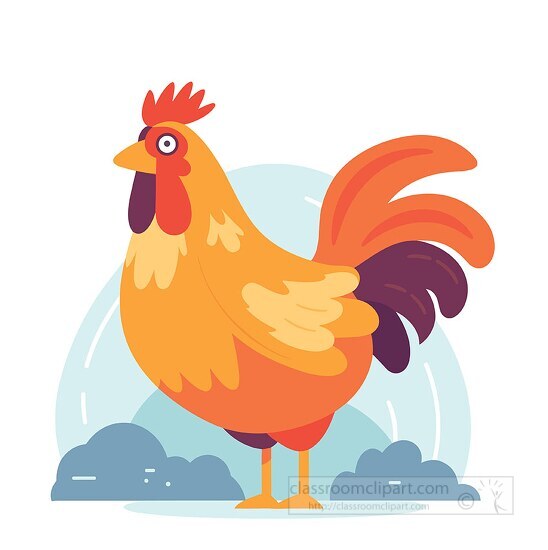 chicken a domesticated farm animal