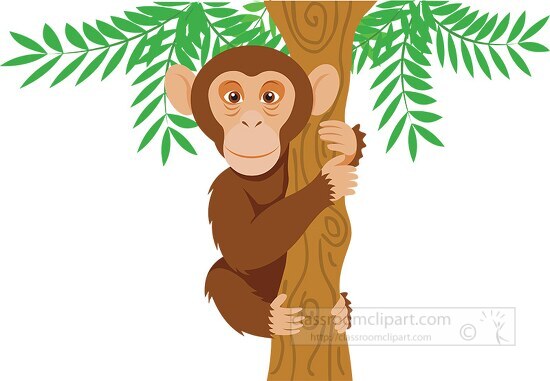 chimpanzee holding onto tree branch clipart