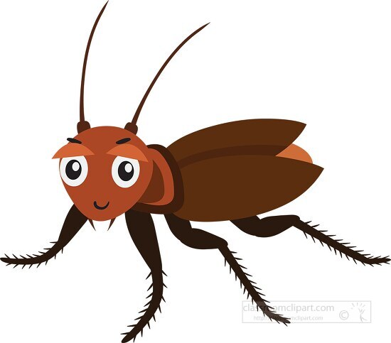 Cockroach Insects Animal Clipart