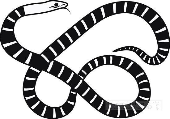 coiled snake Black and white folk art illustration style clip ar