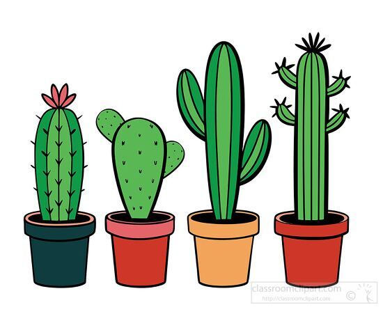 collection of potted cacti in various shapes