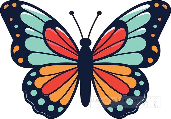colorful butterfly with a red orange and blue pattern wing