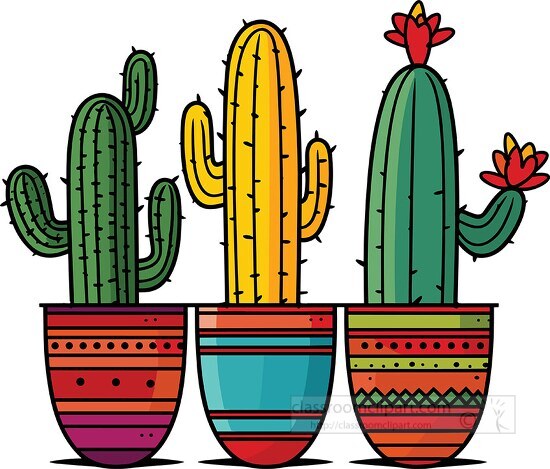 colorful cactus in separate brightly colored planters