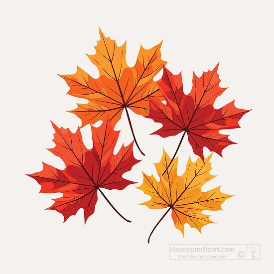 colorful color of maple leaves in the fall clip art