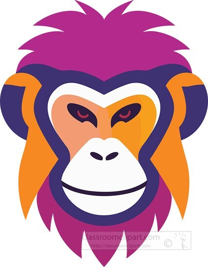 colorful monkey animal face