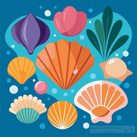 Colorful seashells with playful patterns and shapes