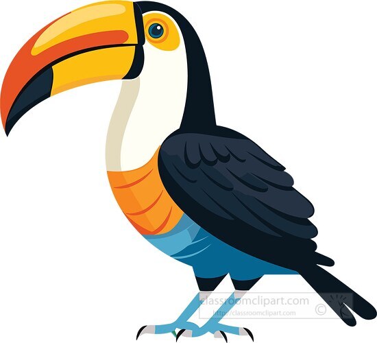 colorful toucan with large yellow beak