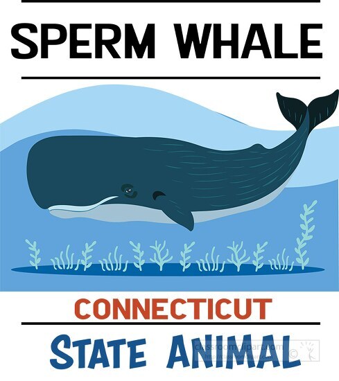 connecticut state animal sperm whale clipart