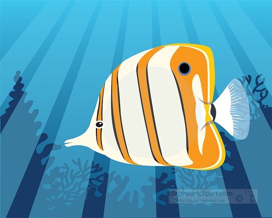 Copperband Butterflyfish swimming in the ocean clipart