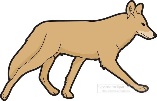 coyote walking side view clipart