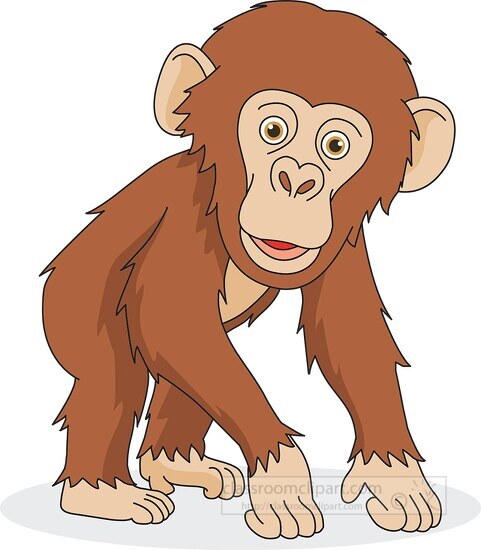 cute baby chimpanzee stands on all four limbs clip art