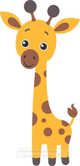 cute baby giraffe