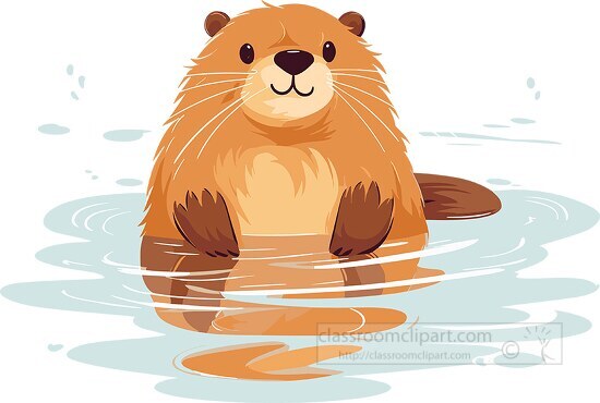 cute beaver swimming on its back in water