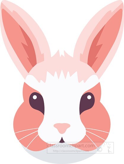 cute big eared rabbit