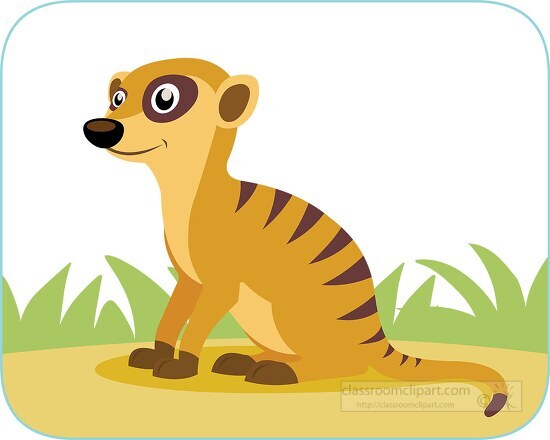 cute big eyed brown meerkat sits on ground clipart