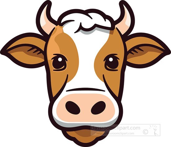cute brown white cow animal face