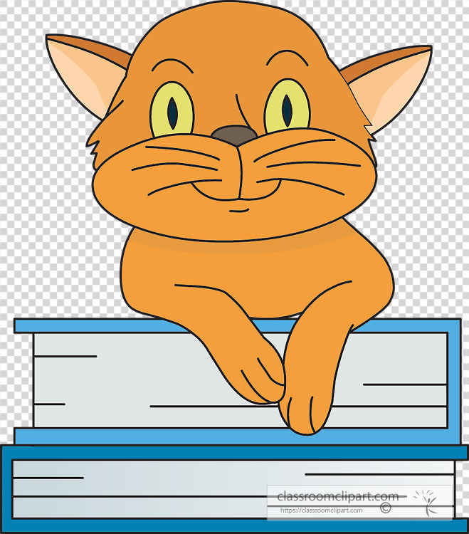 cute cat_sits on many books transparent