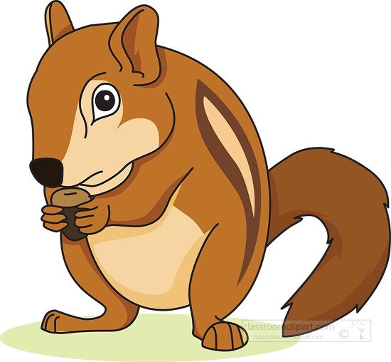 cute chipmunk with long tail holding a nut to eat clip art