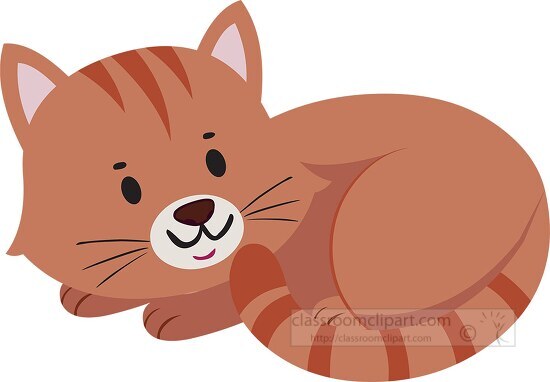cute cuddly cat curled light brown kittie cat