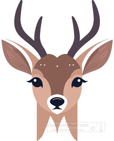 cute deer with horns animal face