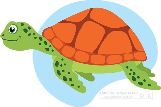 cute green sea turtle with orange shell clipart
