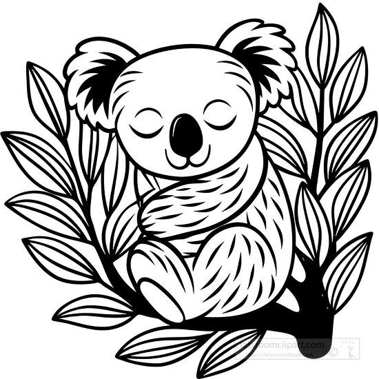 cute koala bear from australia black outline coloring