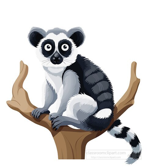 cute lemur relaxing in a tree clip art