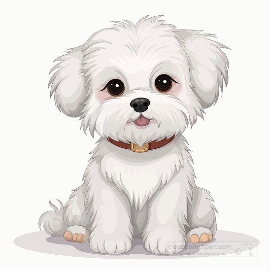 cute maltese dog wearing acollar clip art