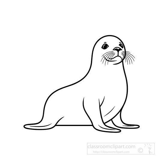 cute sea lion black outline clip art