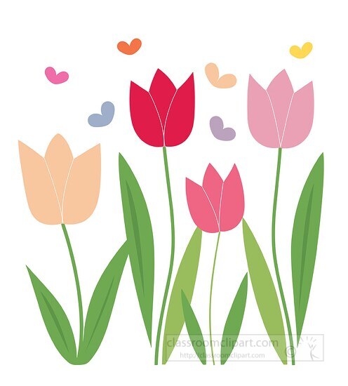 cute spring tulips surrounded by hearts