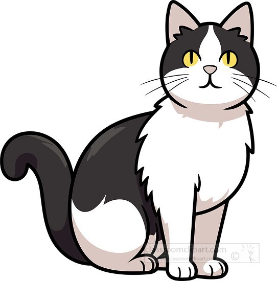 clip art cat