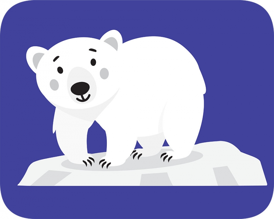 cute white polar bear with pink cheeks on iceberg gray color cli