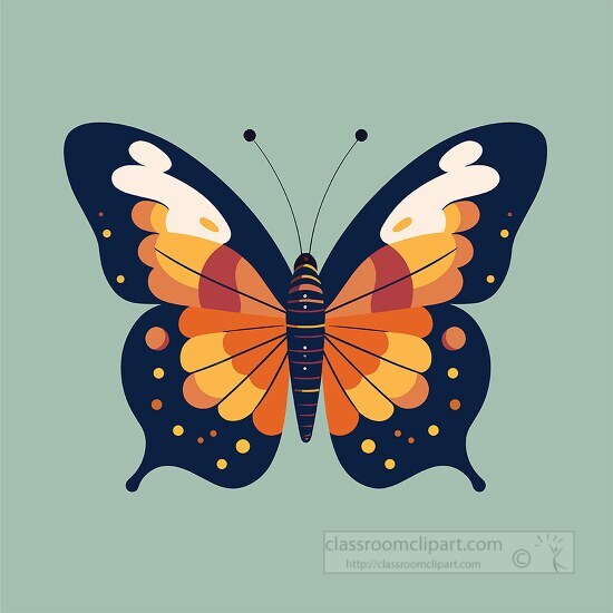 dark blue butterfly with orange yellow white spots on the wings 