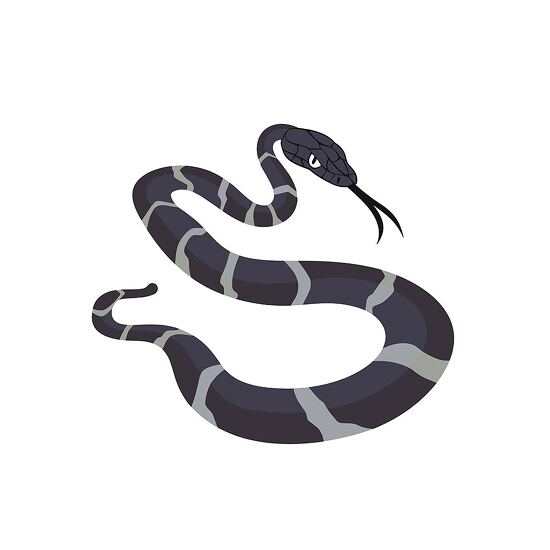 dark grey snake in a coiled posture clipart
