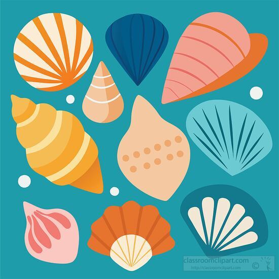 decorative set of colorful seashells against a teal background