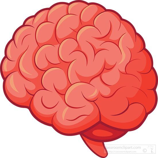 detailed cartoon brain illustration