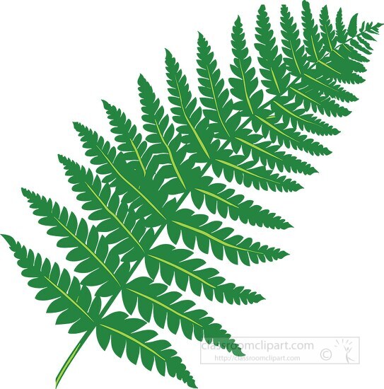 detailed green fern leaf illustration in a vibrant flat design s