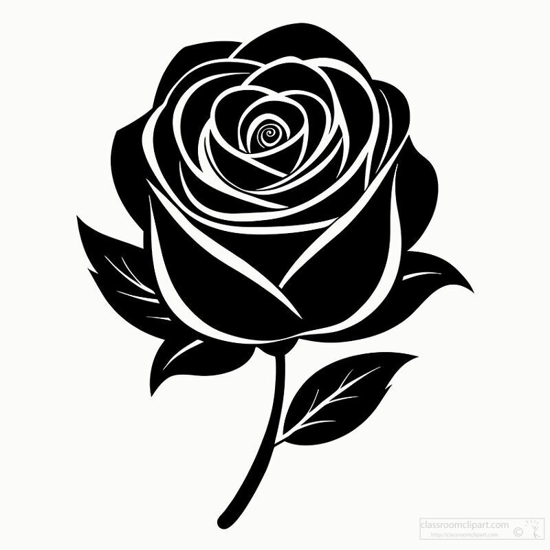 detailed rose design in black and white