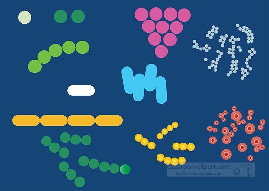 different types and shapes of bacteria vector clipart