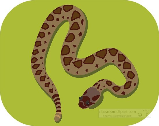 DimondBack Rattlesnake Snake Reptile Animal Clipart