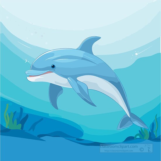 dolphin exploring the underwater under water world