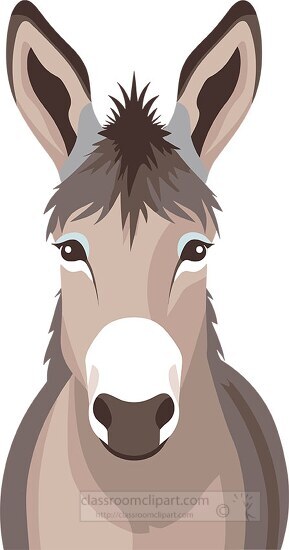 donkey front view clip art