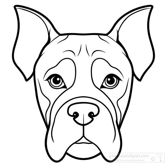 drawing of a boxer dogs face