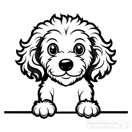 drawing of a cute poodle puppy black outline