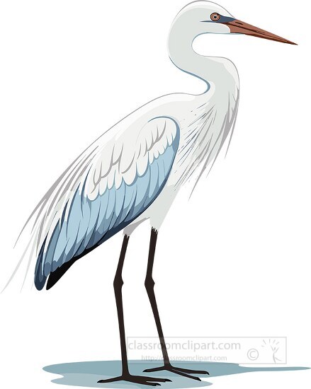 Bird Clipart-egret elegant wading bird