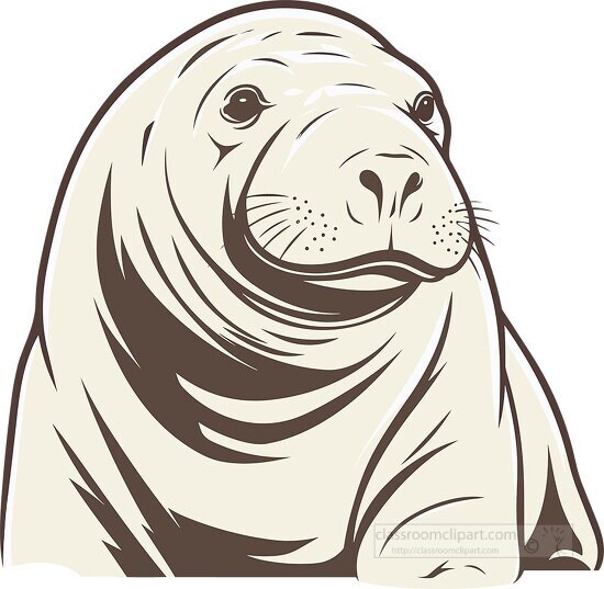 elephant seal face outline