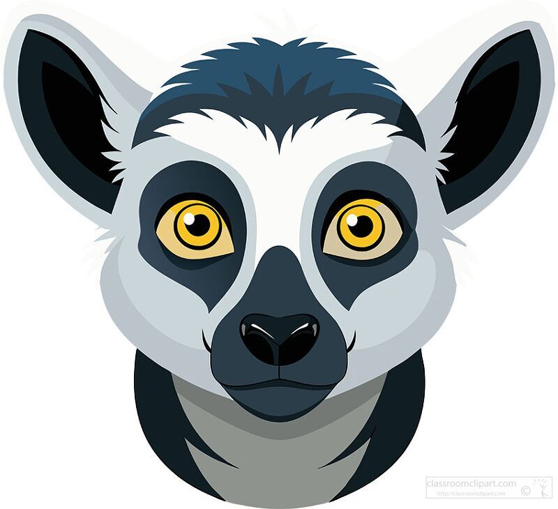 face of a gray and white lemur with yellow eyes