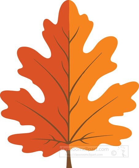 fall folliage common yellow orange oak leaf