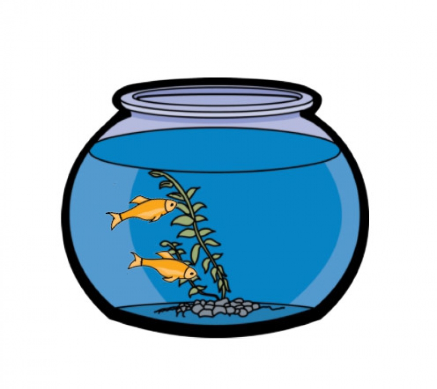 Animal Animated Clipart-fish bowl animation